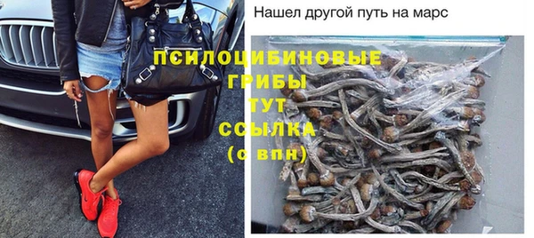 бошки Снежинск