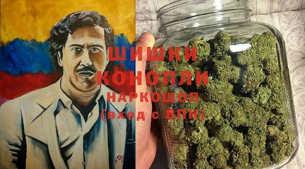 МДПВ Семилуки