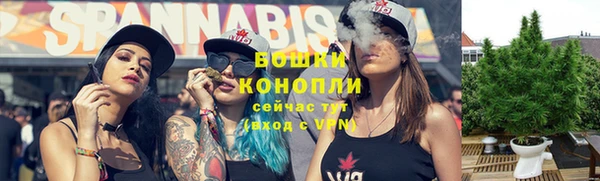 a pvp Белокуриха
