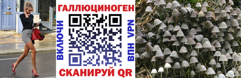 Галлюциногенные грибы GOLDEN TEACHER  Всеволожск 